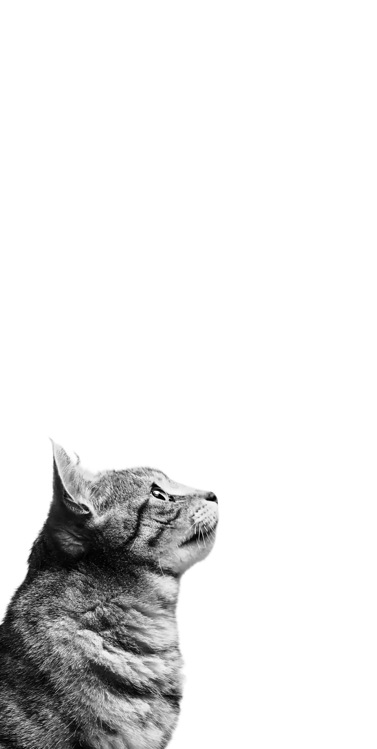 laura-chouette-g6Ny4dvHlE0-unsplash 2